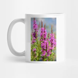 Purple-Loosestrife Mug